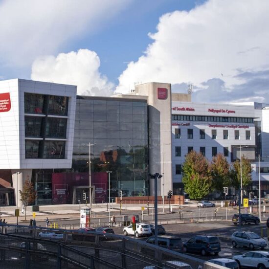 University of South Wales